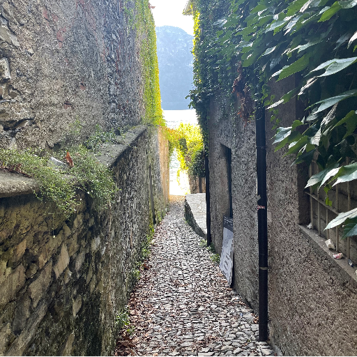 The Narrow Road Newsletter